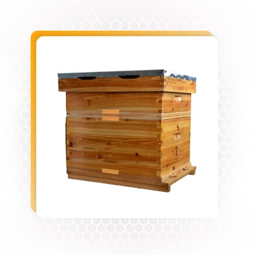 beekeeping equipment for sale