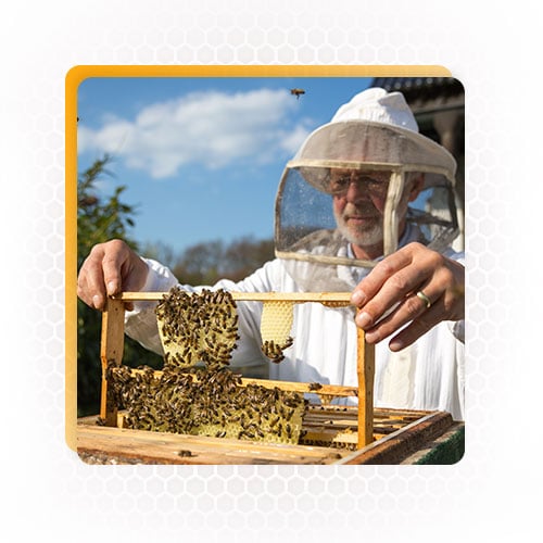 beekeeping equipment supplies