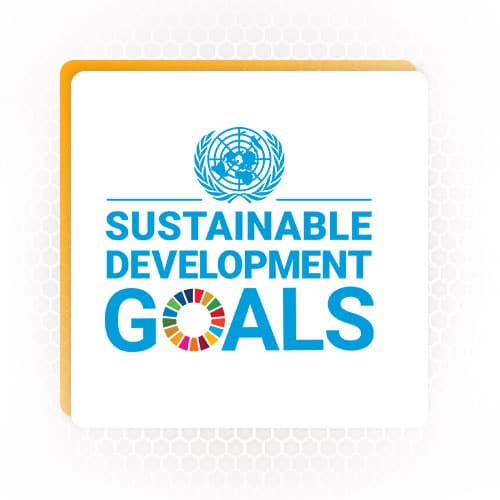 Sustainability UNSDG