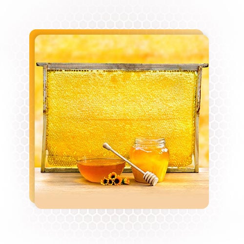 Bee by products honeycomb