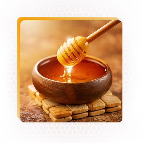 buy honey in bulk