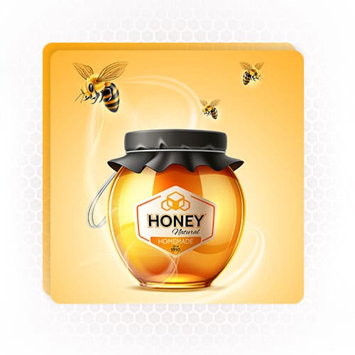 Honey-Bottling-and-Packaging-Companies