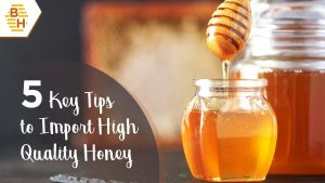 5 Key Tips to Import High Quality Honey from India