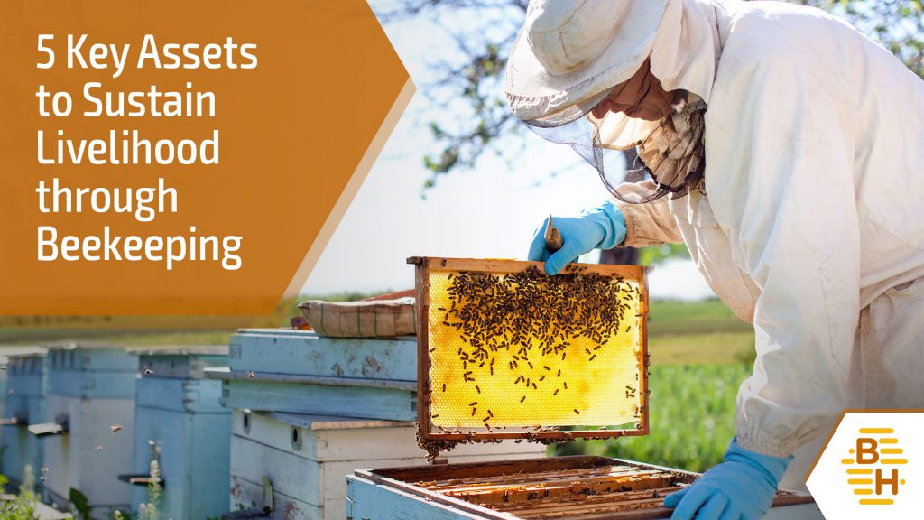 Blog 7 - 5 Key Assets to Sustain Livelihood through Beekeeping