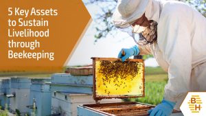 Blog 7 - 5 Key Assets to Sustain Livelihood through Beekeeping