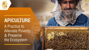 Apiculture - A Practice to Alleviate Poverty & Preserve the Ecosystem