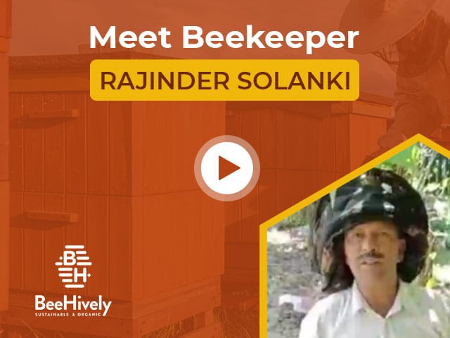 Meet Beekeeper Rajinder Solanki