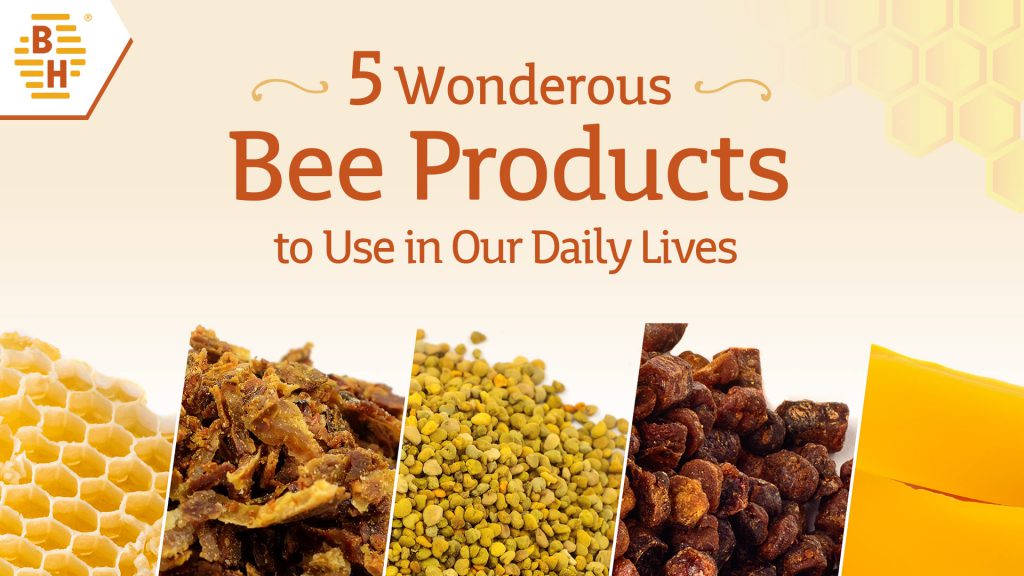 5 Wonderous Bee Products to Use in Our Daily Lives