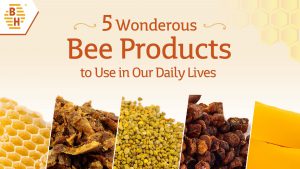 5 Wonderous Bee Products to Use in Our Daily Lives