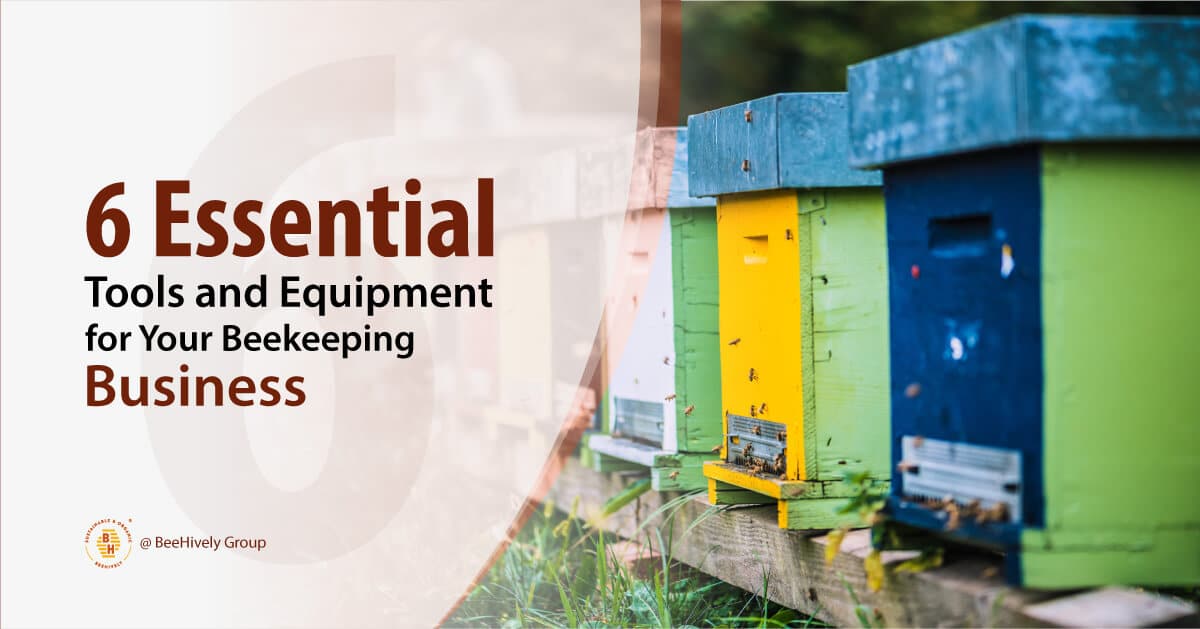 6 Essential Tools and Equipment for Your Beekeeping Business