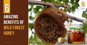 6 Amazing Benefits of Wild Forest Honey