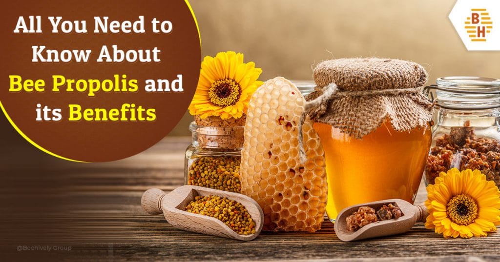 All You Need to Know About Bee Propolis and its Benefits