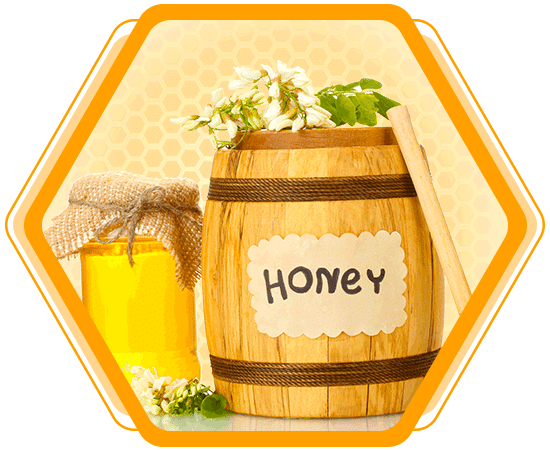Buy Honey In Bulk
