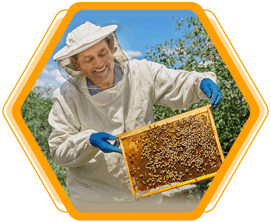 Supporting Sustainable Beekeepers